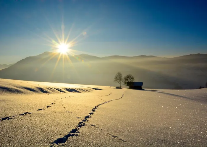 Отель Das Mondsee